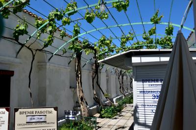 Прикрепленное изображение: 95.JPG